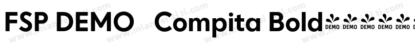 FSP DEMO   Compita Bold字体转换